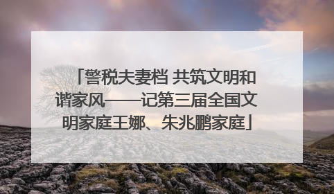 警税夫妻档 共筑文明和谐家风——记第三届全国文明家庭王娜、朱兆鹏家庭