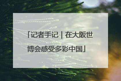 记者手记｜在大阪世博会感受多彩中国