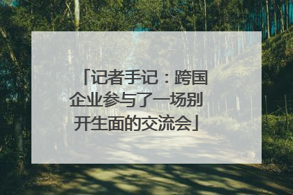 记者手记：跨国企业参与了一场别开生面的交流会