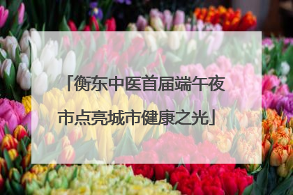 衡东中医首届端午夜市点亮城市健康之光