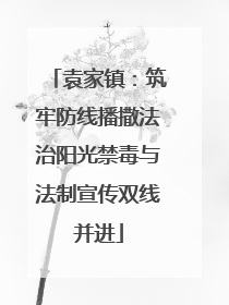 袁家镇：筑牢防线播撒法治阳光禁毒与法制宣传双线并进