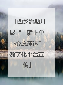 西乡流塘开展“一键下单·心愿速达”数字化平台宣传