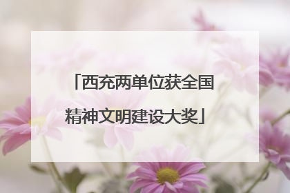 西充两单位获全国精神文明建设大奖