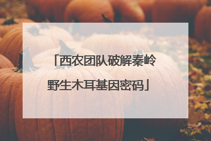 西农团队破解秦岭野生木耳基因密码