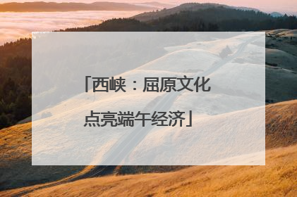 西峡：屈原文化点亮端午经济