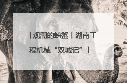 观潮的螃蟹丨湖南工程机械“双城记”