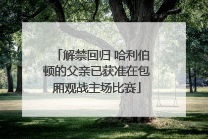 解禁回归 哈利伯顿的父亲已获准在包厢观战主场比赛