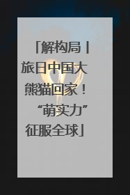 解构局丨旅日中国大熊猫回家！“萌实力”征服全球