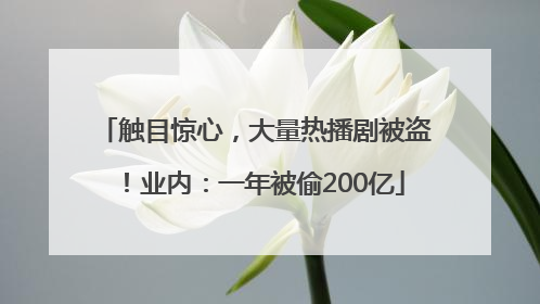 触目惊心，大量热播剧被盗！业内：一年被偷200亿