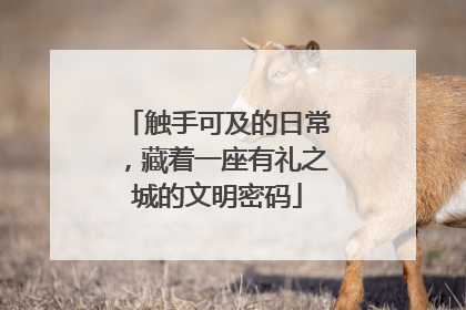 触手可及的日常，藏着一座有礼之城的文明密码