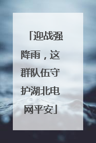 迎战强降雨，这群队伍守护湖北电网平安