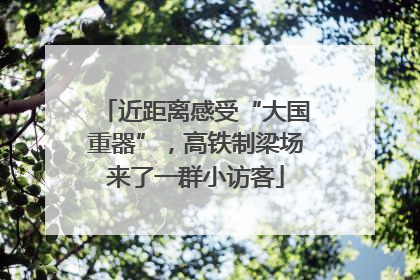 近距离感受“大国重器”，高铁制梁场来了一群小访客