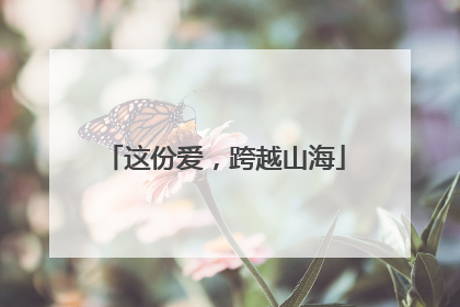 这份爱，跨越山海