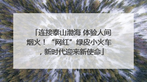 连接泰山渤海 体验人间烟火！“网红”绿皮小火车，新时代迎来新使命