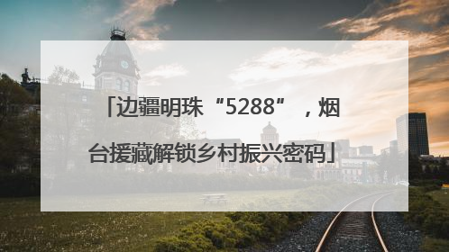 边疆明珠“5288”，烟台援藏解锁乡村振兴密码