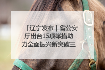 辽宁发布｜省公安厅出台15项举措助力全面振兴新突破三年行动决胜之战