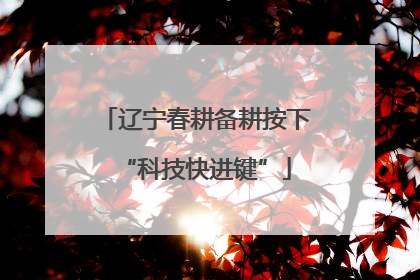 辽宁春耕备耕按下“科技快进键”