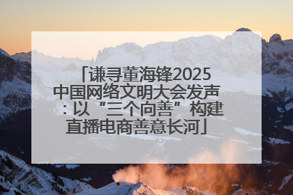 谦寻董海锋2025中国网络文明大会发声：以“三个向善”构建直播电商善意长河