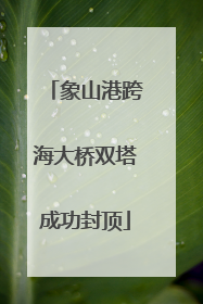 象山港跨海大桥双塔成功封顶