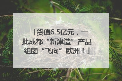 货值6.5亿元，一批成都“新津造”产品组团“飞向”欧洲！