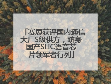 赛思获评国内通信大厂S级供方，跻身国产SLIC语音芯片领军者行列