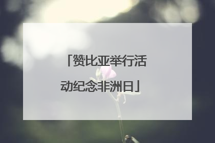 赞比亚举行活动纪念非洲日
