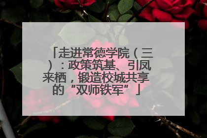 走进常德学院（三）：政策筑基、引凤来栖，锻造校城共享的“双师铁军”