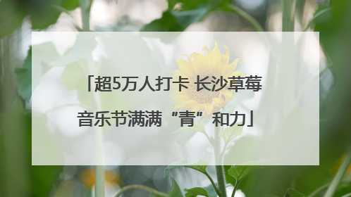 超5万人打卡 长沙草莓音乐节满满“青”和力
