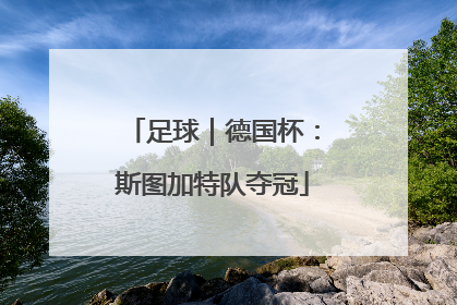 足球｜德国杯：斯图加特队夺冠