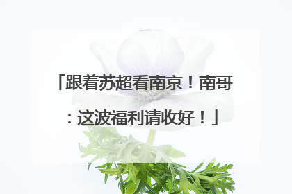 跟着苏超看南京！南哥：这波福利请收好！
