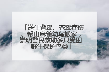 送牛背鹭、苍鹭疗伤、帮山麻雀幼鸟搬家，崇明警民救助多只受困野生保护鸟类