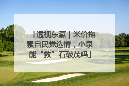 透视东瀛｜米价拖累自民党选情，小泉能“救”石破茂吗
