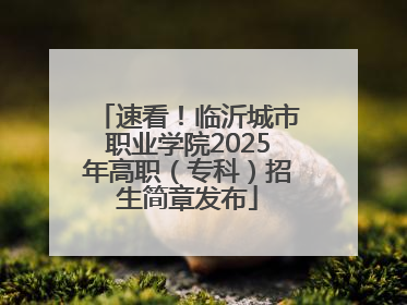 速看！临沂城市职业学院2025年高职（专科）招生简章发布