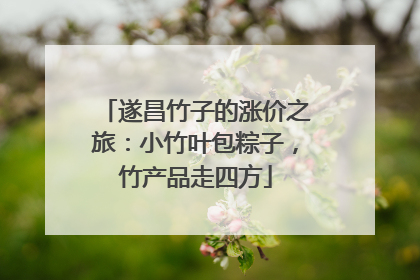 遂昌竹子的涨价之旅：小竹叶包粽子，竹产品走四方