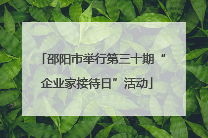 邵阳市举行第三十期“企业家接待日”活动