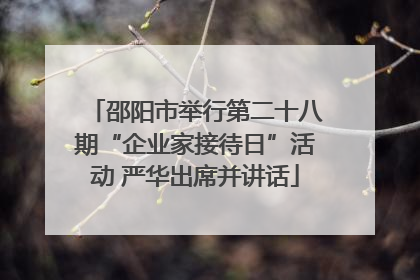 邵阳市举行第二十八期“企业家接待日”活动 严华出席并讲话