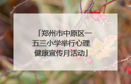 郑州市中原区一五三小学举行心理健康宣传月活动