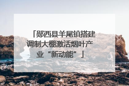 郧西县羊尾镇搭建调制大棚激活烟叶产业“新动能”