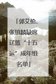 郭艾伦、张镇麟缺席辽篮“十五运”成年组名单