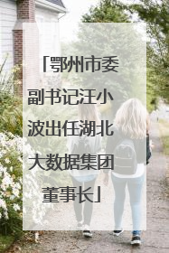 鄂州市委副书记汪小波出任湖北大数据集团董事长