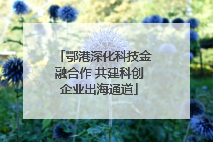 鄂港深化科技金融合作 共建科创企业出海通道