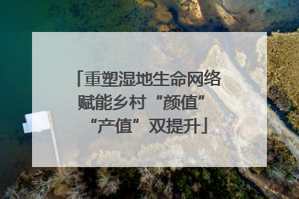 重塑湿地生命网络 赋能乡村“颜值”“产值”双提升