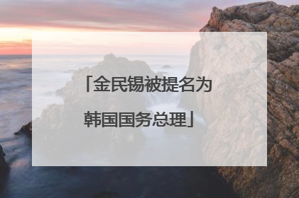 金民锡被提名为韩国国务总理