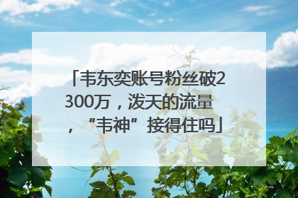 韦东奕账号粉丝破2300万，泼天的流量，“韦神”接得住吗