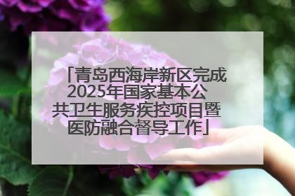 青岛西海岸新区完成2025年国家基本公共卫生服务疾控项目暨医防融合督导工作