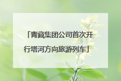 青藏集团公司首次开行塔河方向旅游列车