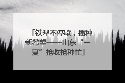 铁犁不停歇，播种新希望——山东“三夏”抢收抢种忙