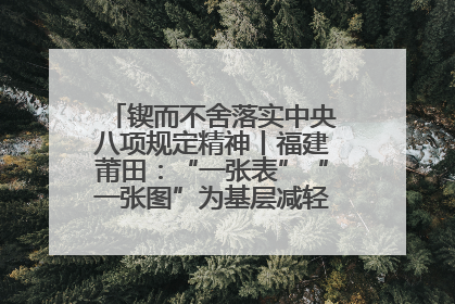 锲而不舍落实中央八项规定精神丨福建莆田：“一张表”“一张图”为基层减轻“数字负担”