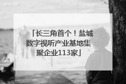 长三角首个！盐城数字视听产业基地集聚企业113家