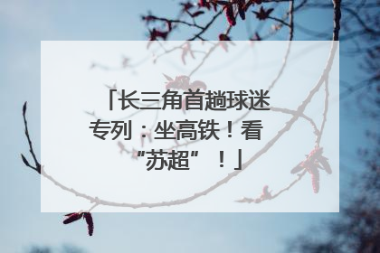 长三角首趟球迷专列：坐高铁！看“苏超”！